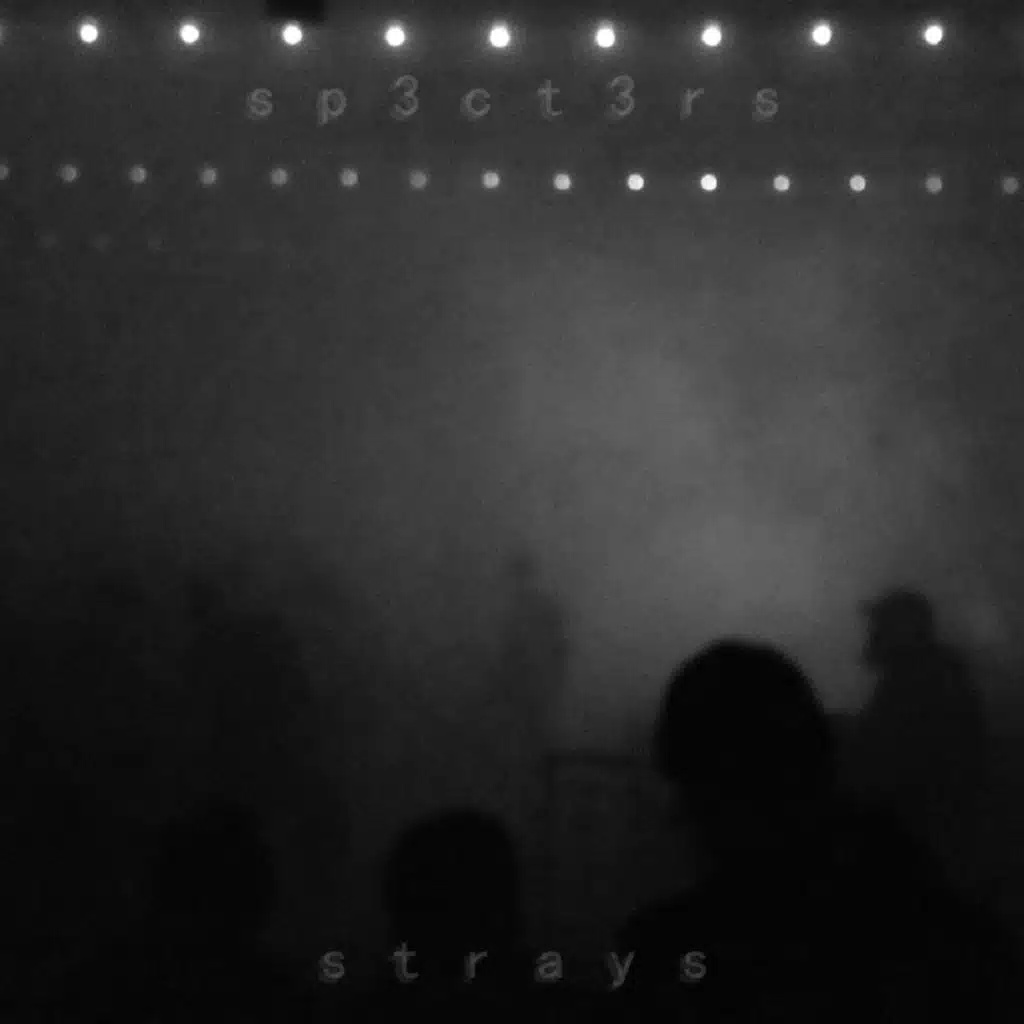 strays
