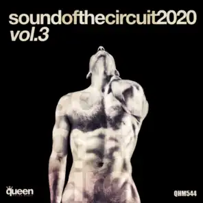 Sound of the Circuit 2020, Vol. 3