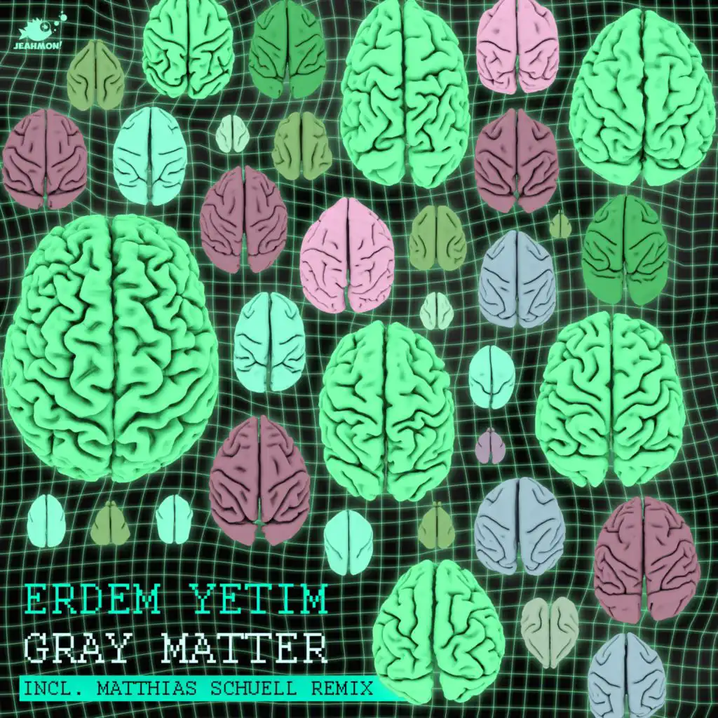 Gray Matter (feat. Erman Danisment)