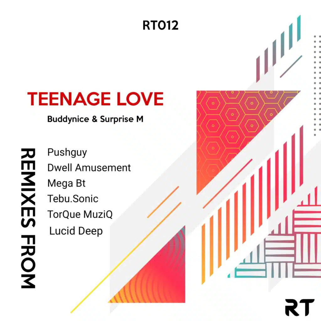 Teenage Love Remixes (feat. Surprise M)