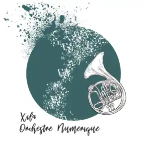 Orchestre Numerique (Rapossa Remix)