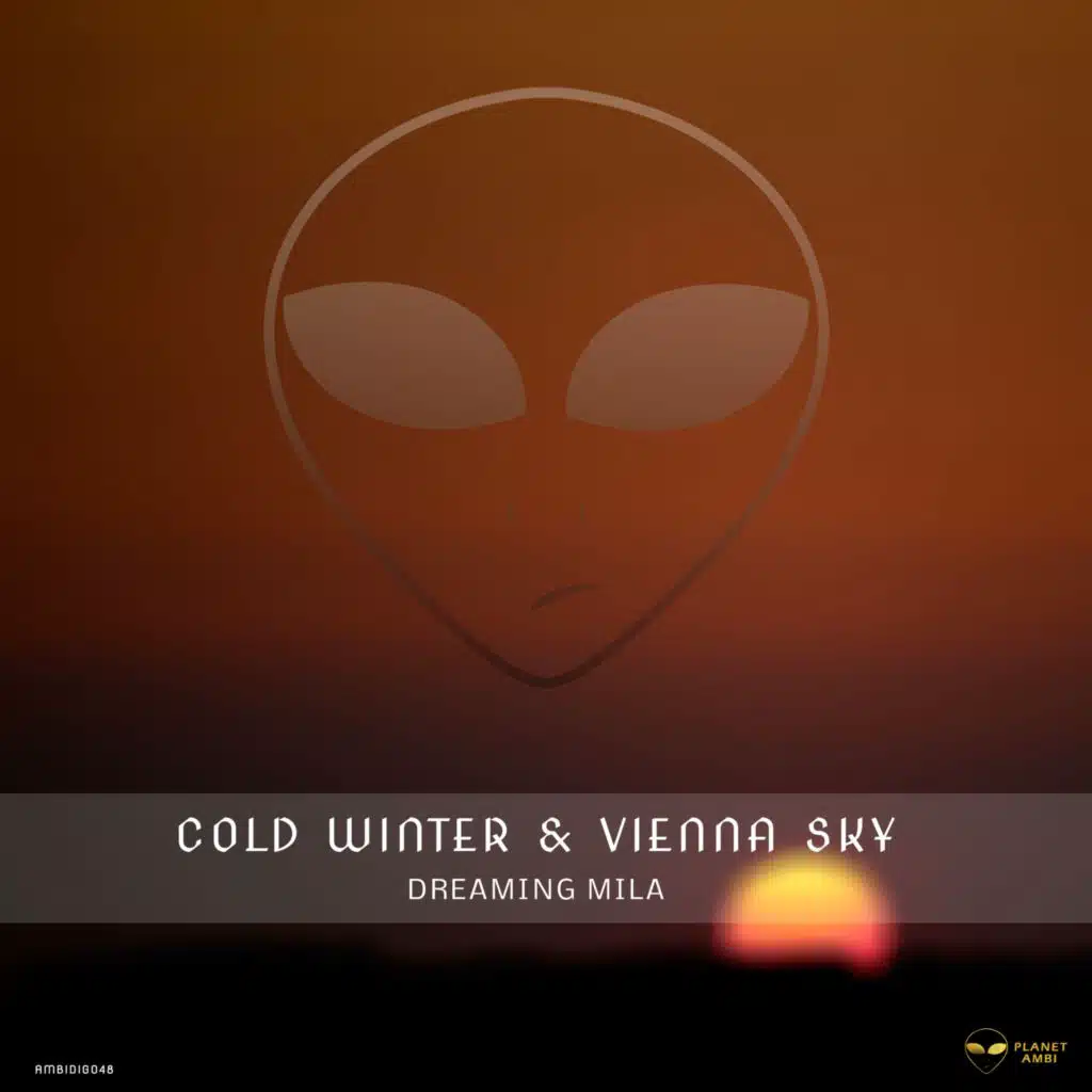 Cold Winter & Vienna Sky