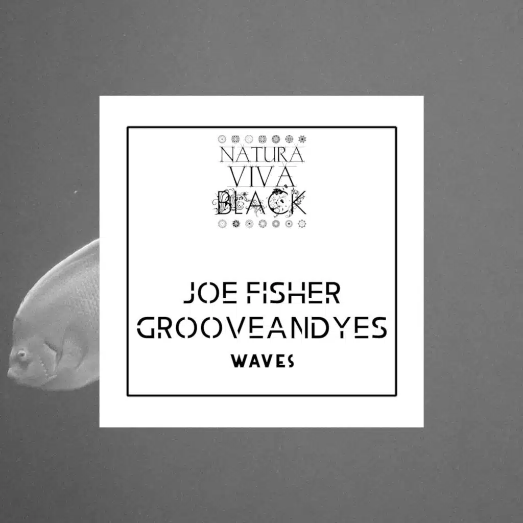 Joe Fisher & GrooveANDyes
