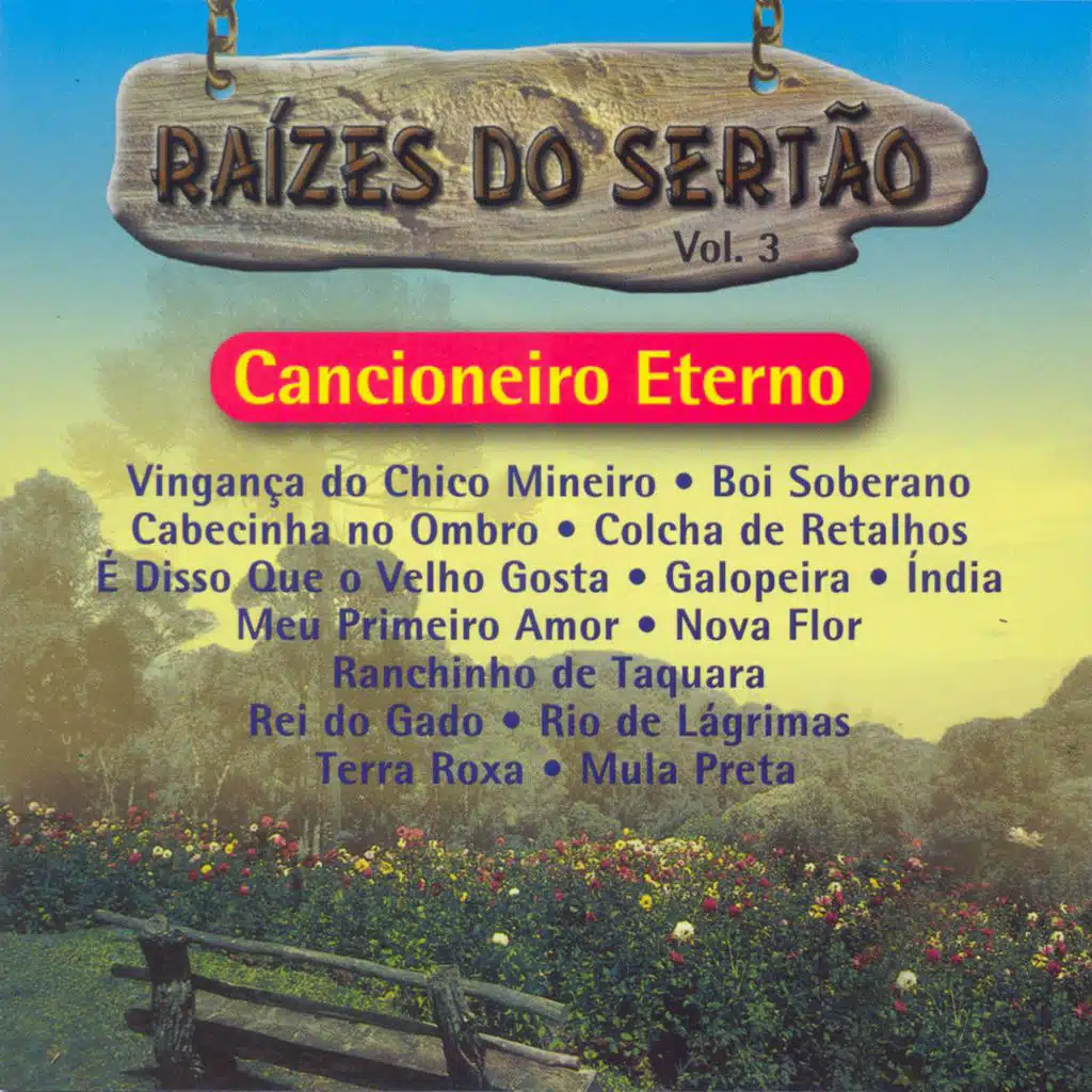 Meu Primeiro Amor (Lejania)