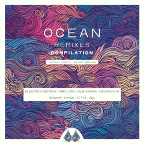 Ocean (Kauê Krinas Remix)
