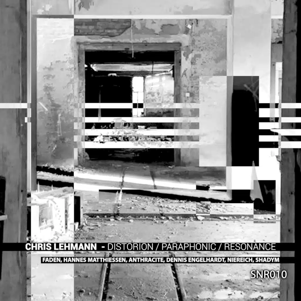 Distortion / Paraphonic / Resonance