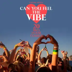Can You Feel the Vibe (20 Ibiza House Classics)