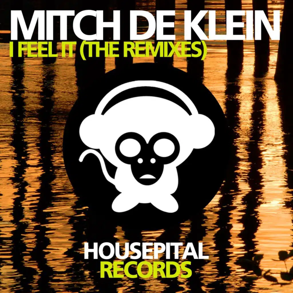 I Feel It (Quentin van Honk Remix) [feat. Quintin van Honk]