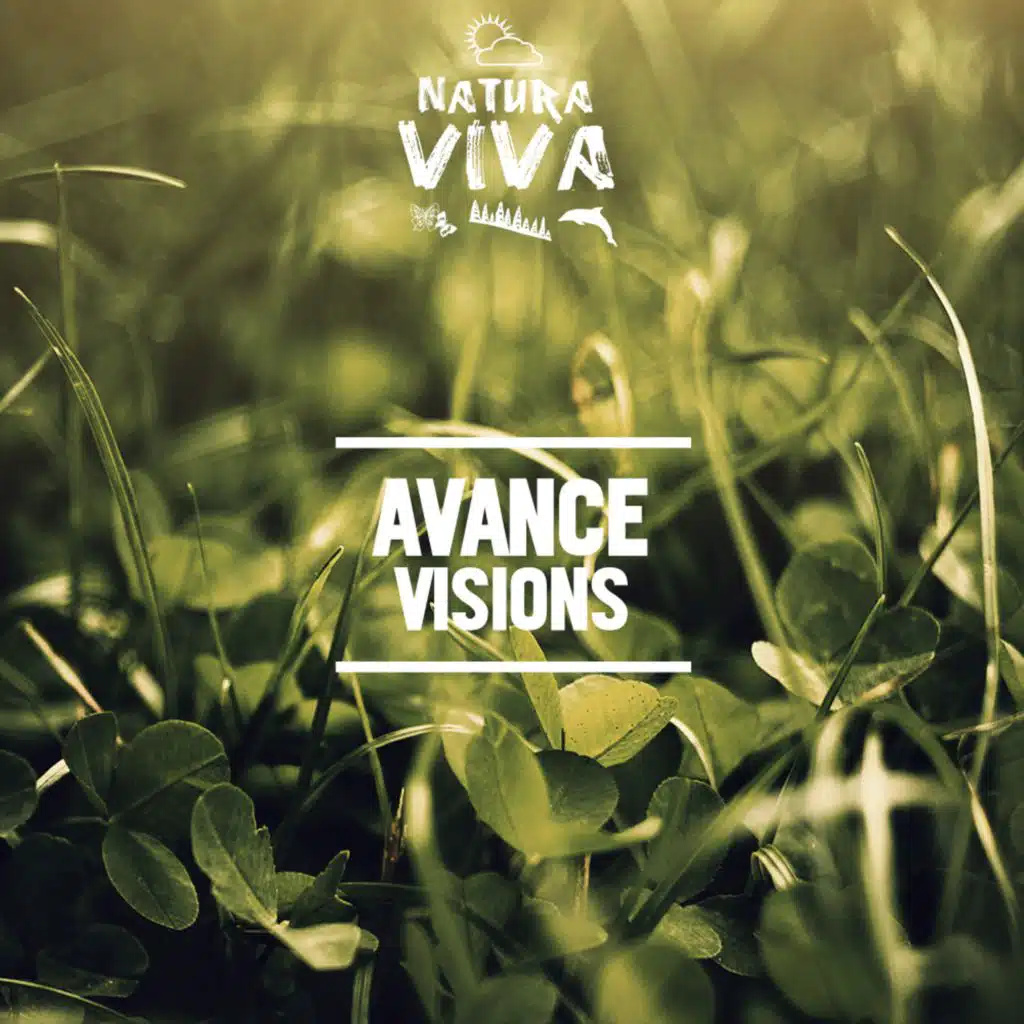 Visions
