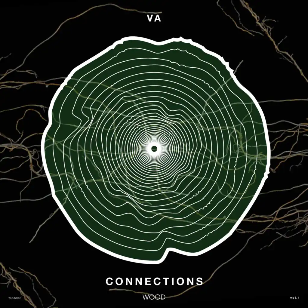 Connections, Vol. 1
