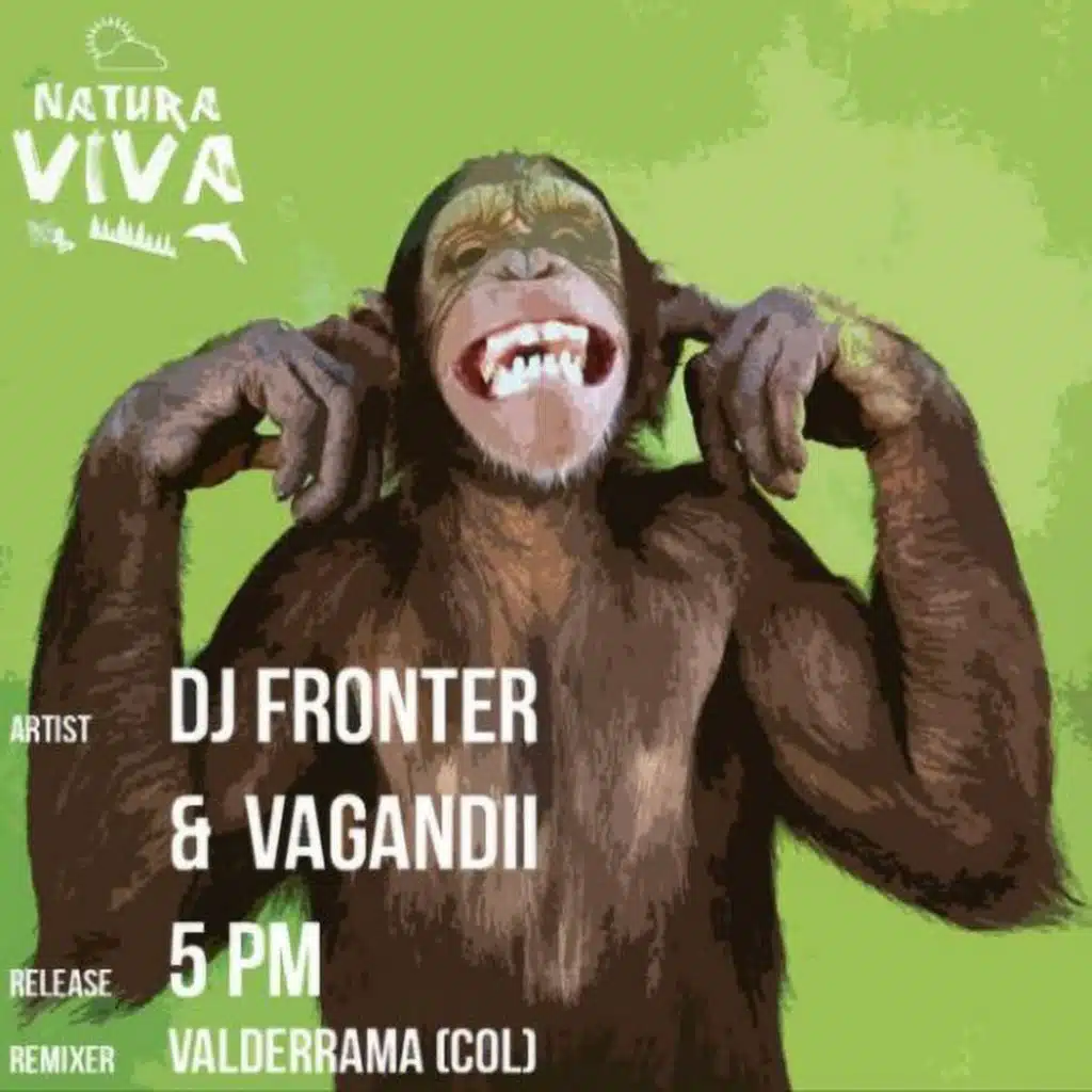DJ Fronter & Vagandii
