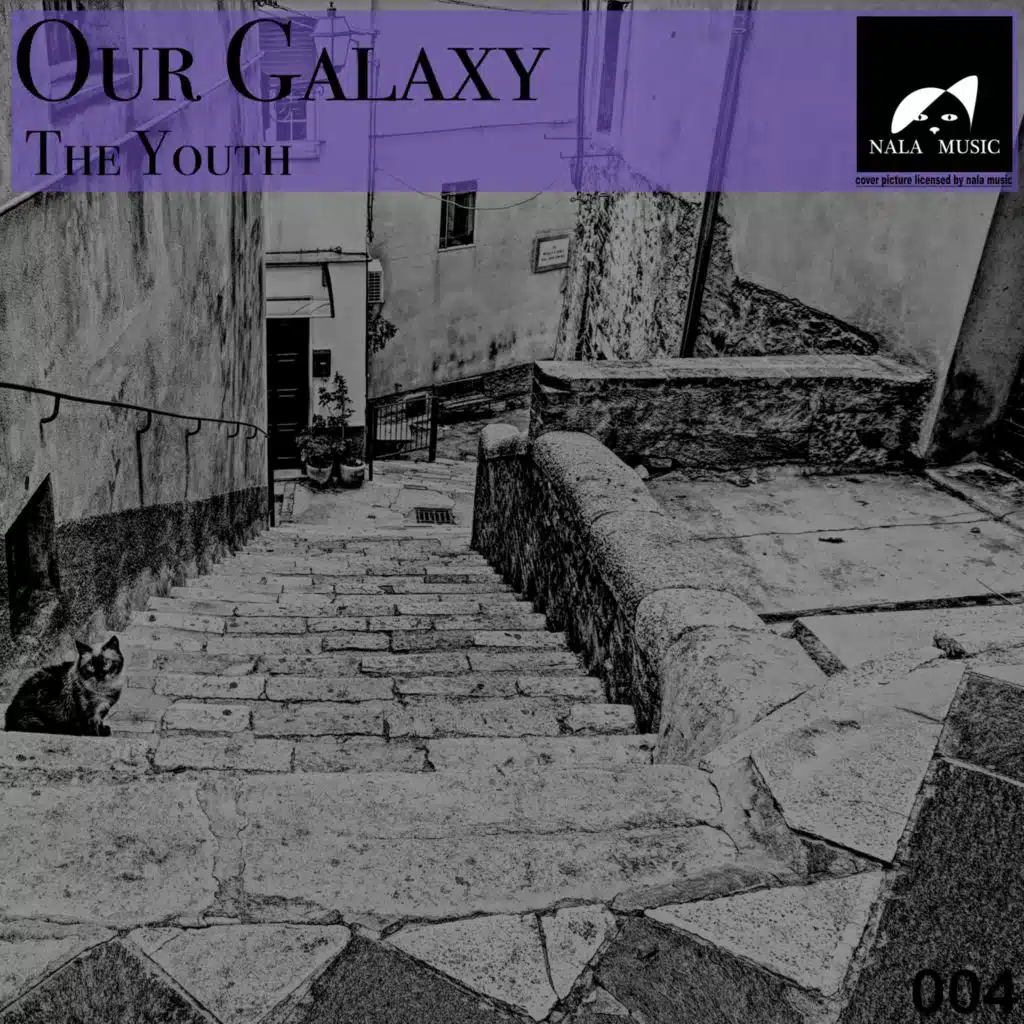 Our Galaxy