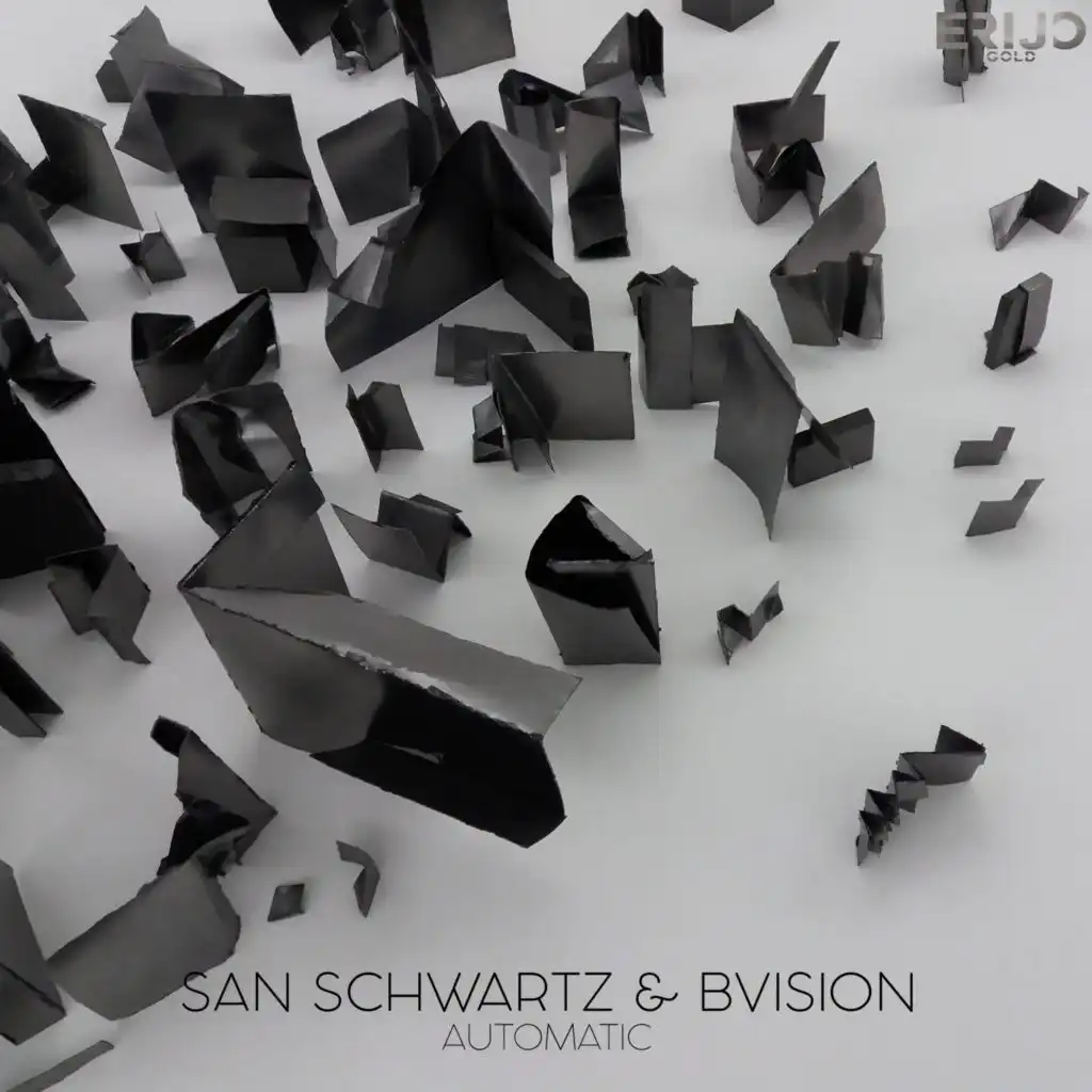 San Schwartz & B-Vision