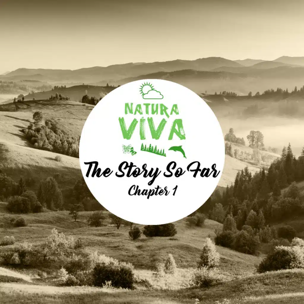 The Story So far - Chapter I