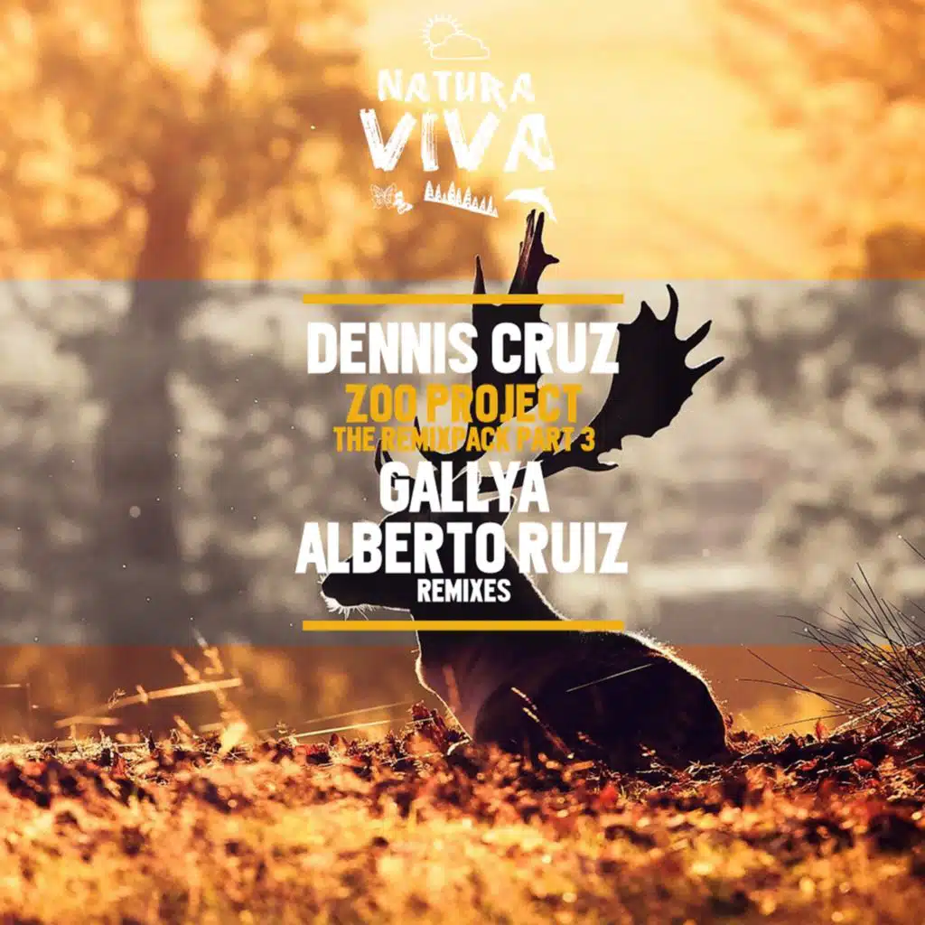 Zoo Project (Gallya Remix)