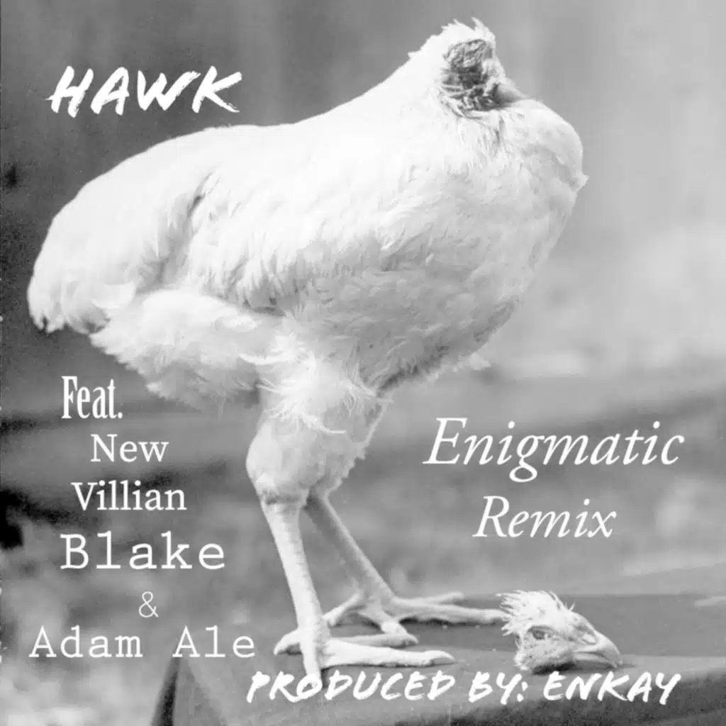 Enigmatic (Remix) [feat. New Villain, Blake & Adam Ale]