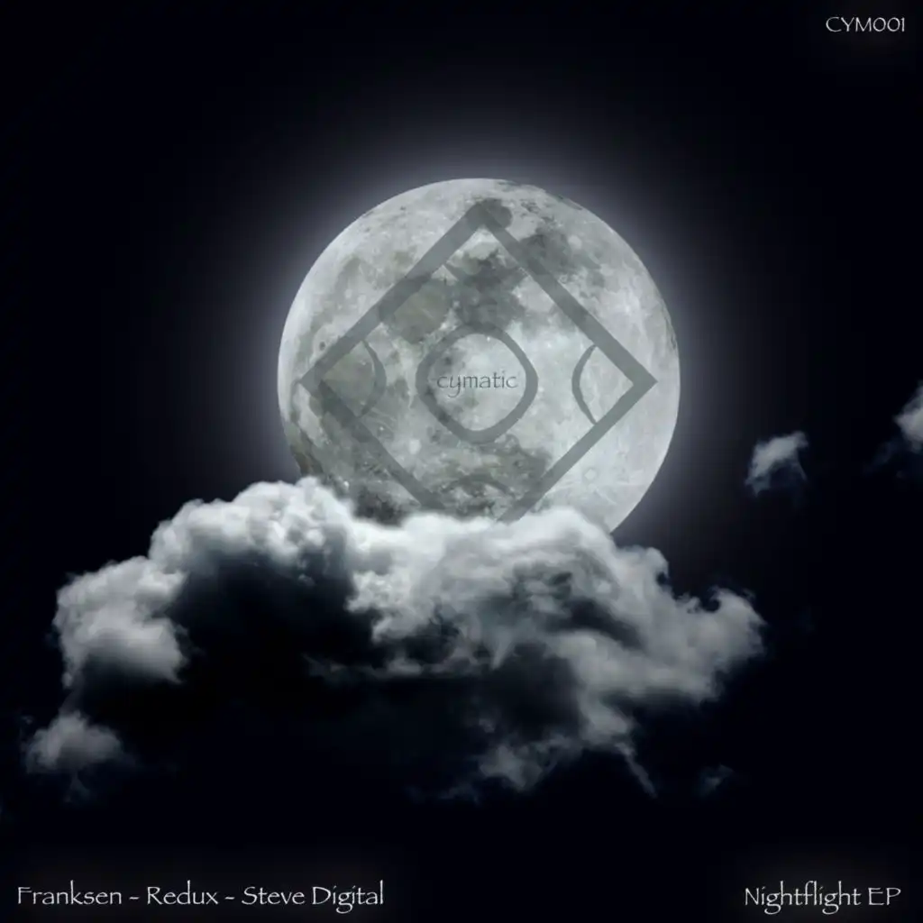 Flight (D. Diggler Remix)