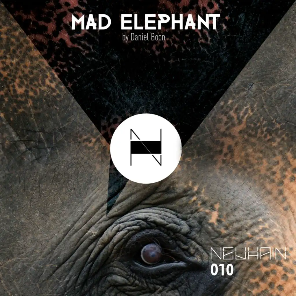 Mad Elephant (David Temessi Remix)