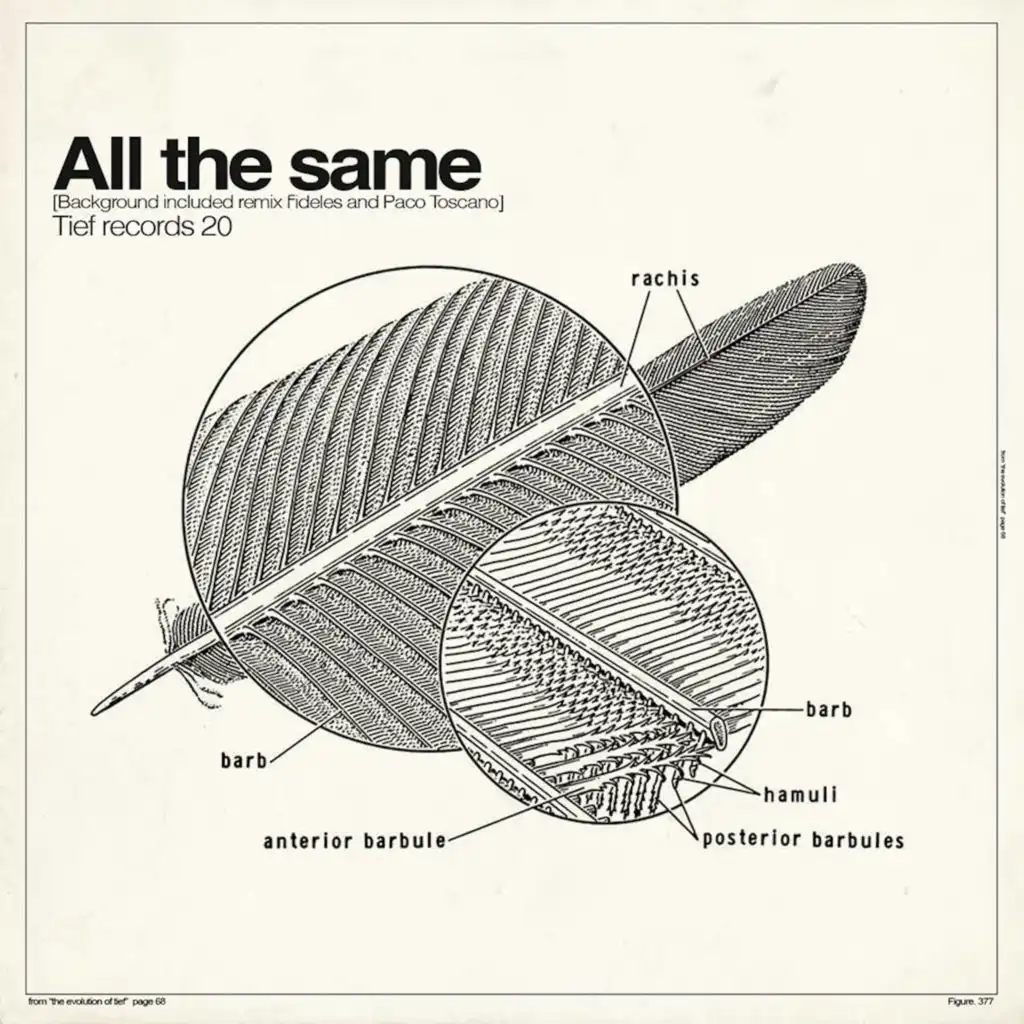 All the Same (Paco Toscano Remix)