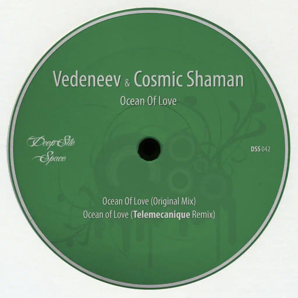 Vedeneev & Cosmic Shaman