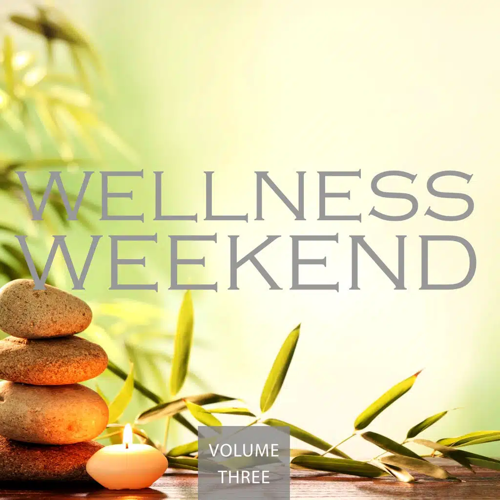 Wellness Weekend, Vol. 3 (Awesome Selection Of Very Calm Music)