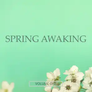 Spring Awaking, Vol. 1 (Finest Selection Of Chill Out & Ambient Music)