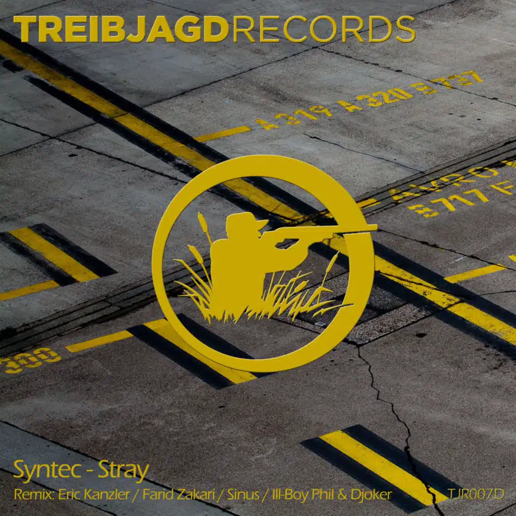 Stray (Dave Summer & Rafner Remix)