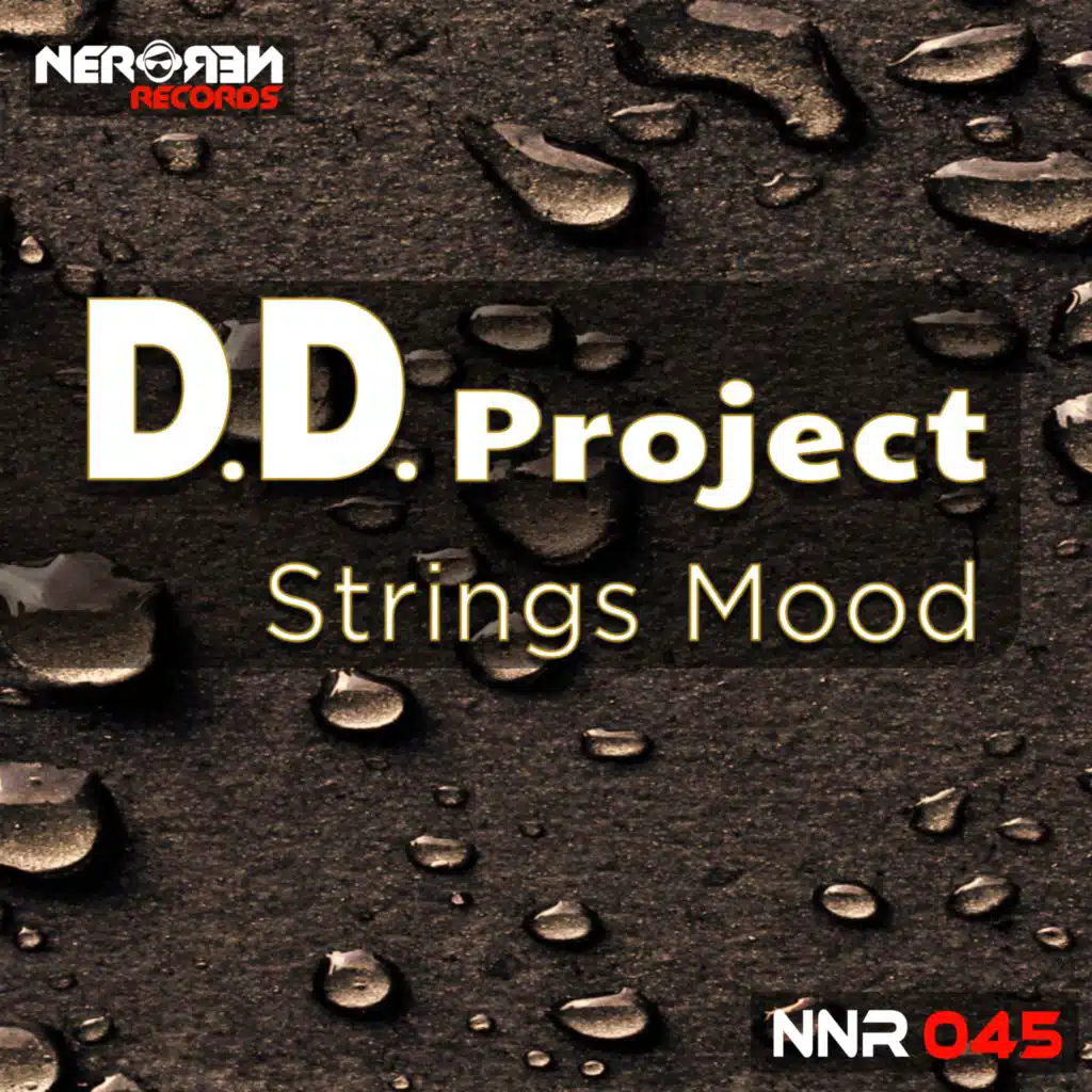 D.D.Project