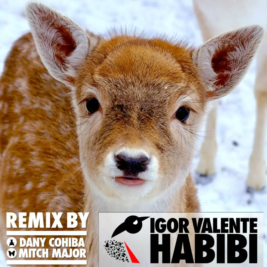 Habibi (Dany Cohiba Remix)