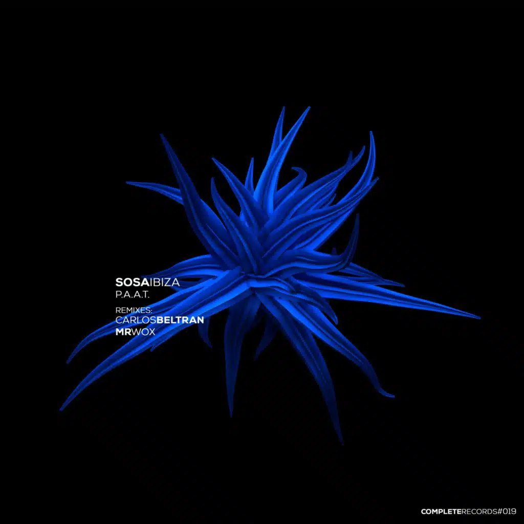 P.A.A.T. (Mr Wox Remix)