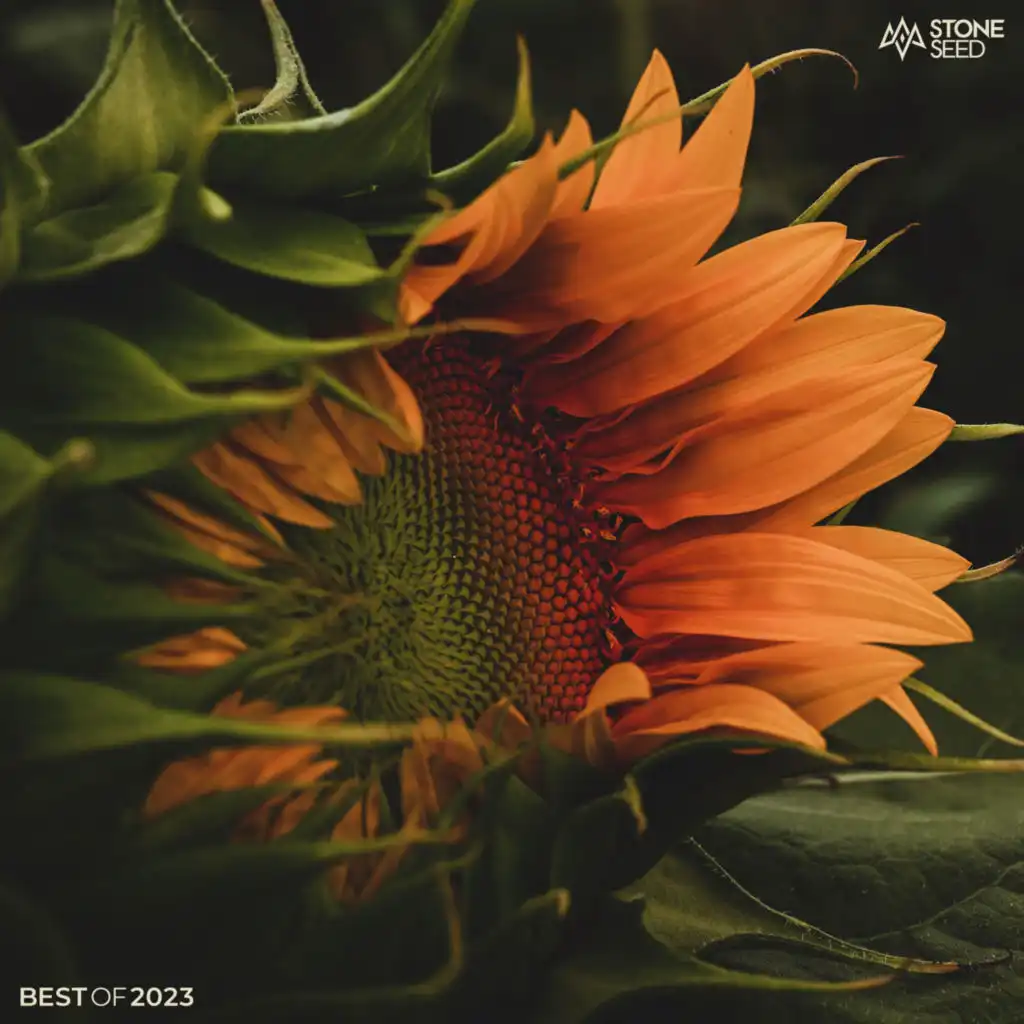 arketech, Mecca & Unknown Concept