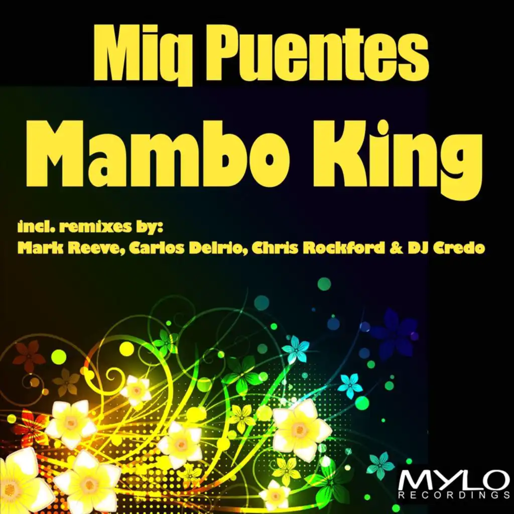 Mambo King (Mark Reeve's Enjoy the Music Remix)