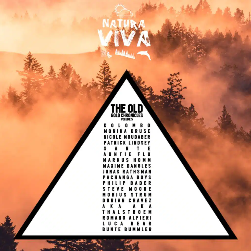 Romano Alfieri, Luca Bear