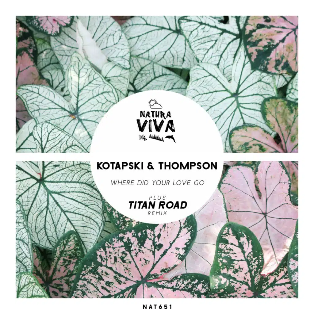 Kotapski & Thompson