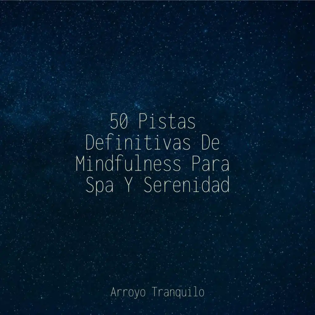 50 Pistas Definitivas De Mindfulness Para Spa Y Serenidad