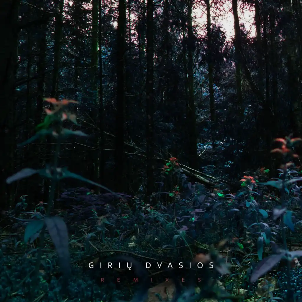 Evasion (Giriu Dvasios Remix)