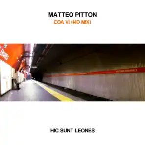 Matteo Pitton