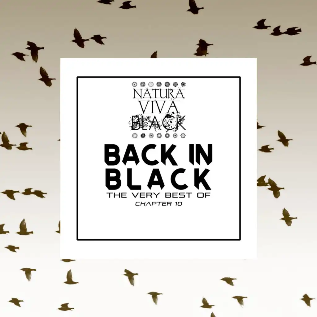 Back in Black! (The Very Best of) Chapter 10