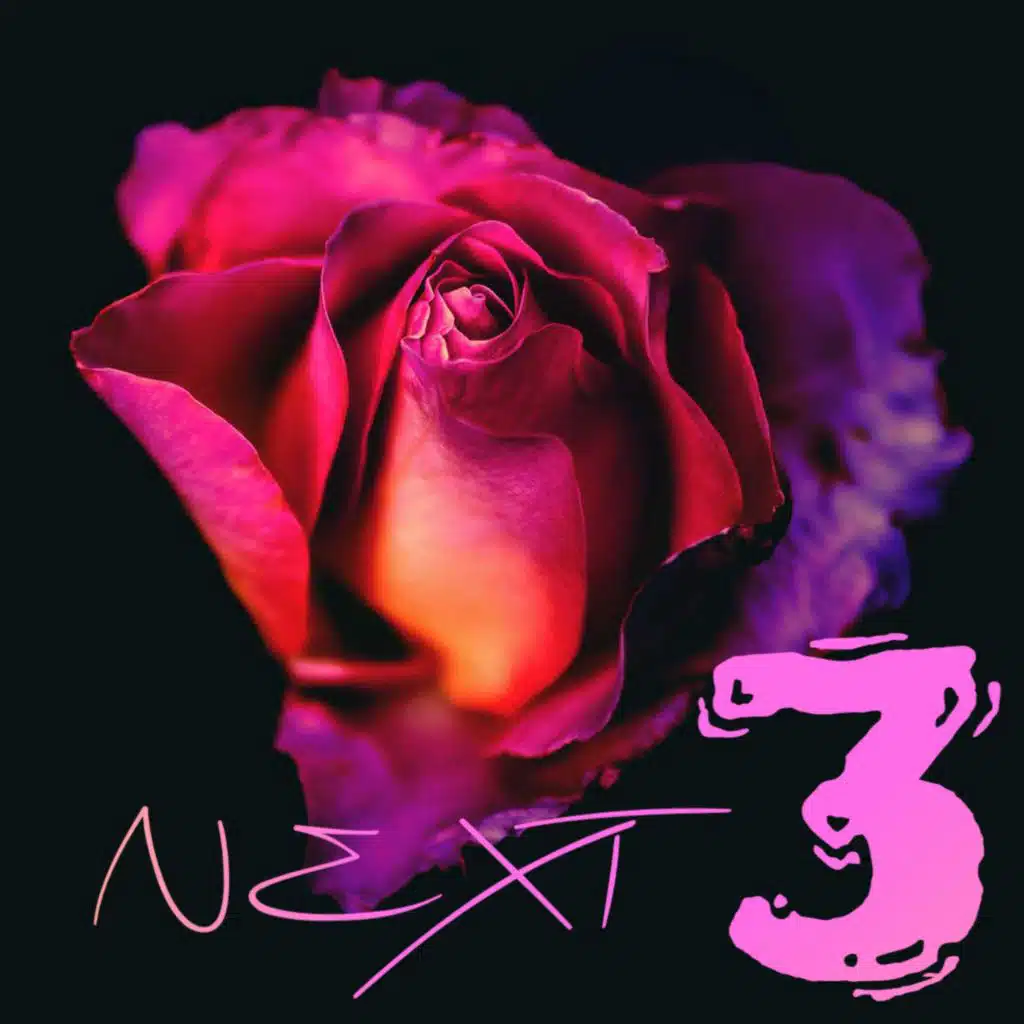 NEXT 3