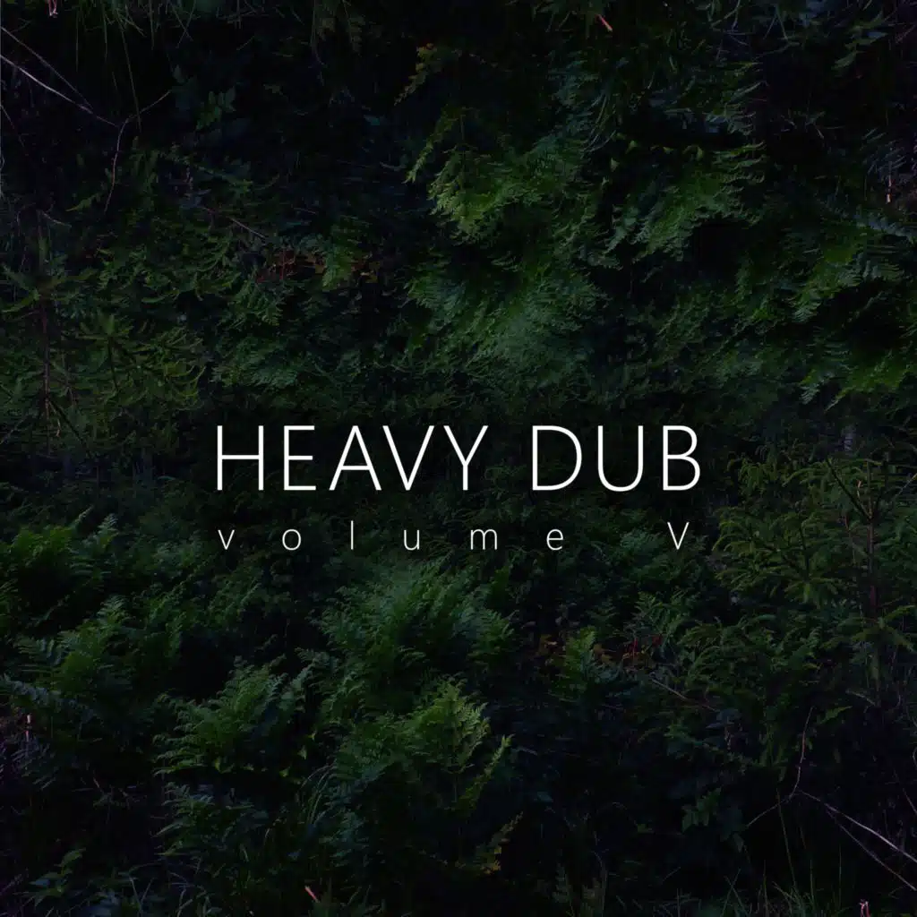 Heavy Heart (Rework)