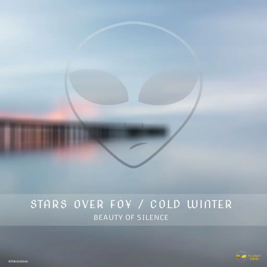 Beauty of Silence (Cold Winter Minimal Mix)