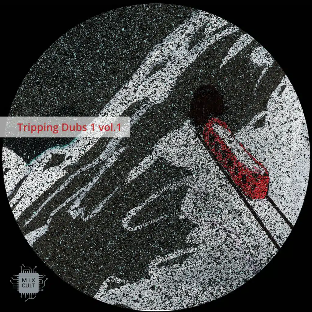 Tripping Dubs, Vol. 1