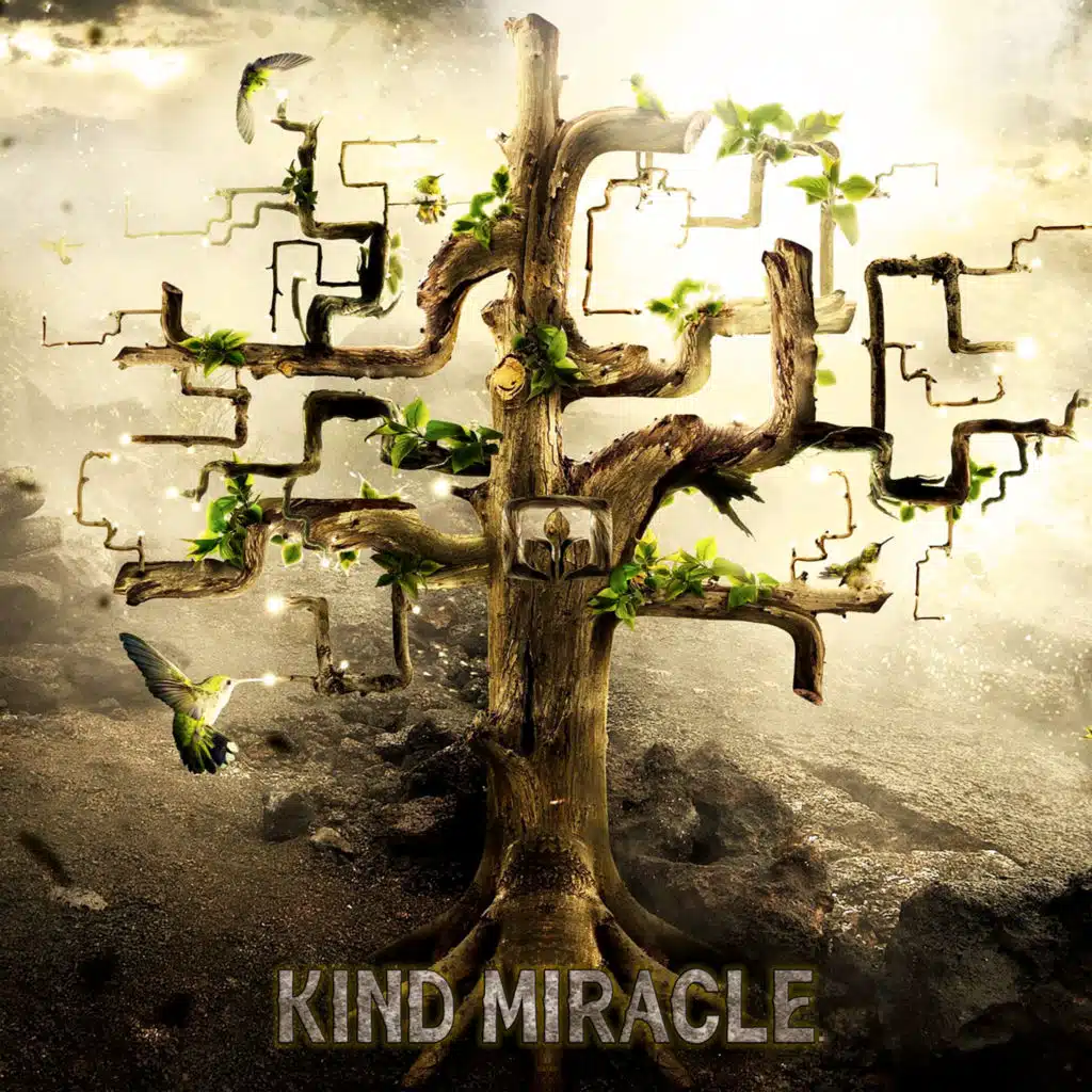 Kind Miracle