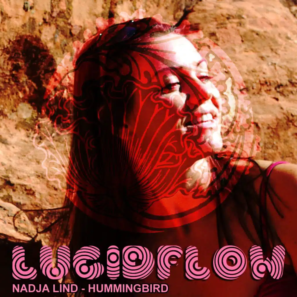 Hummingbird / Brotha Herve