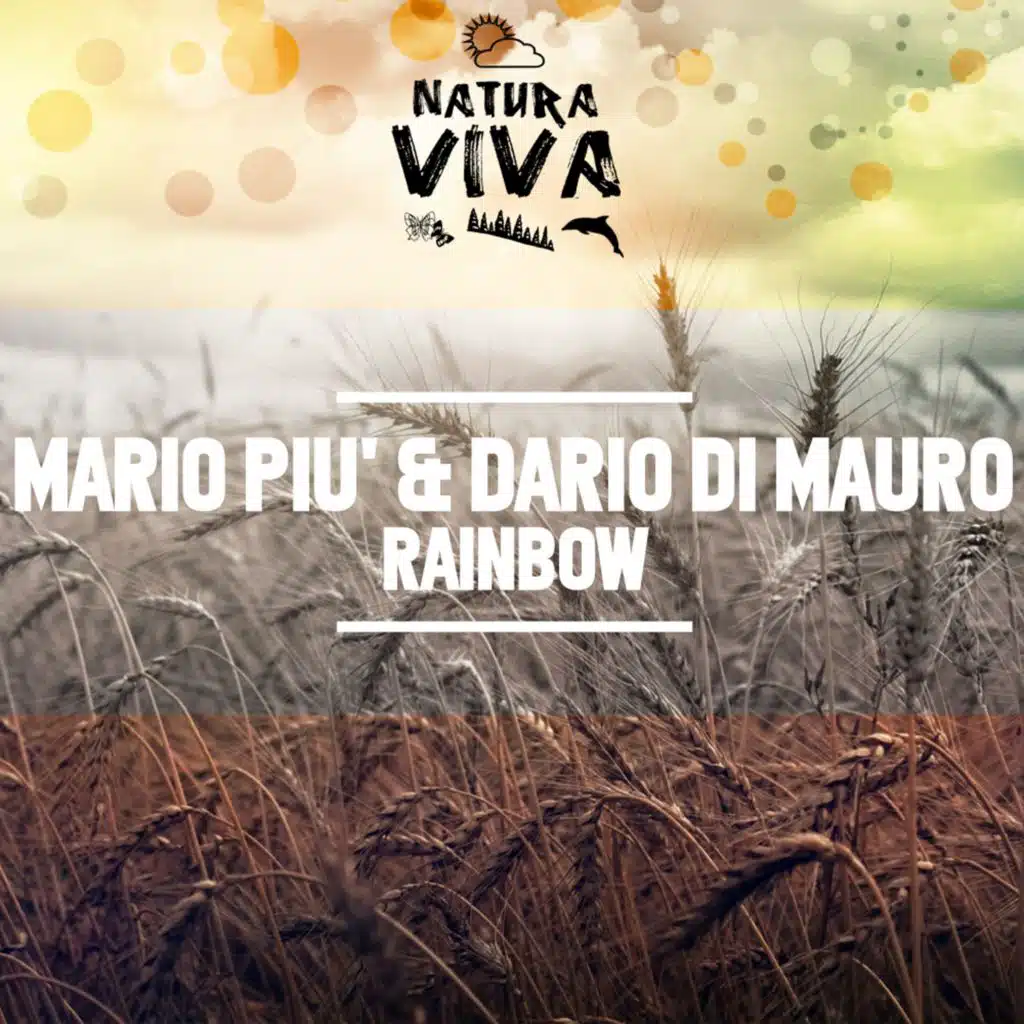 Dario Di Mauro & Mario Piu