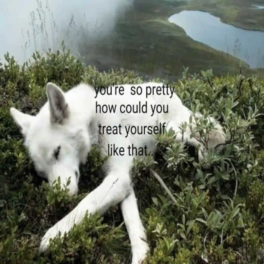 Did It For Your Love