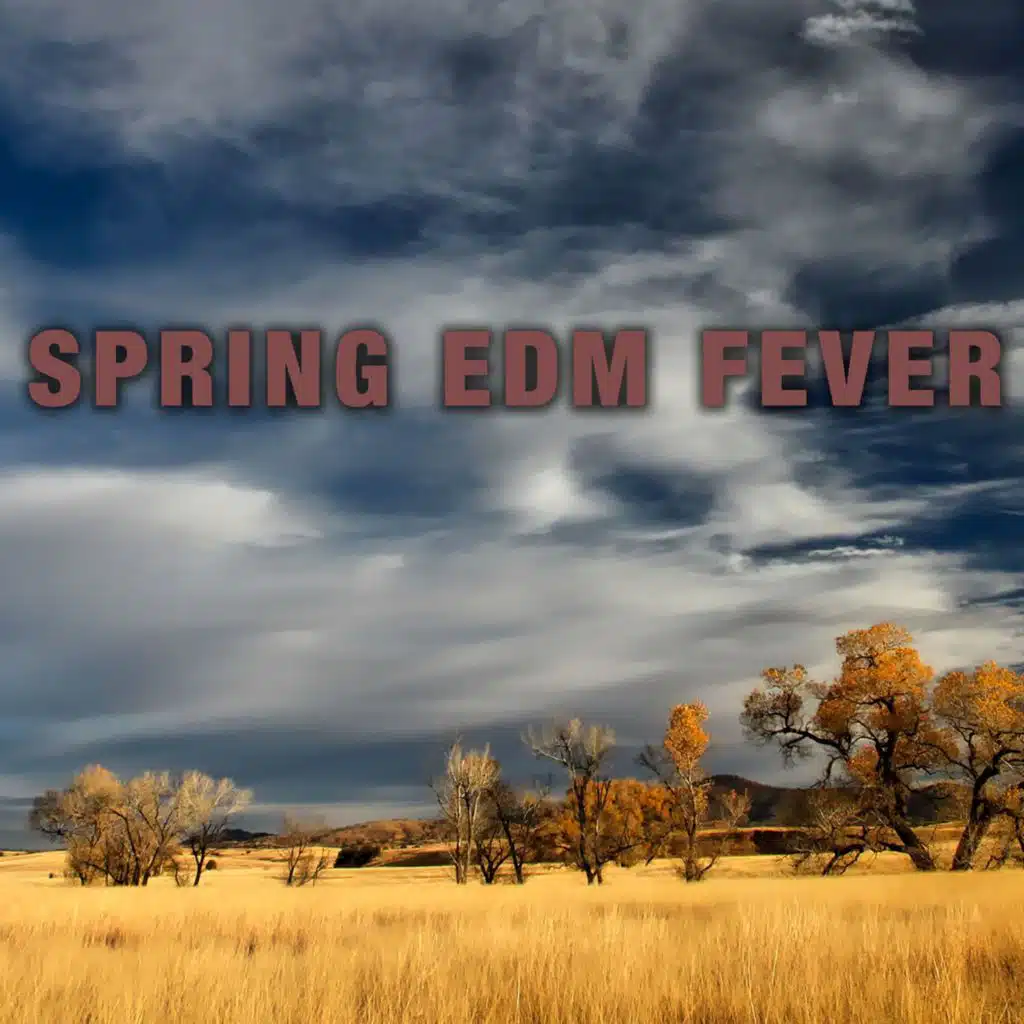 Spring EDM Fever