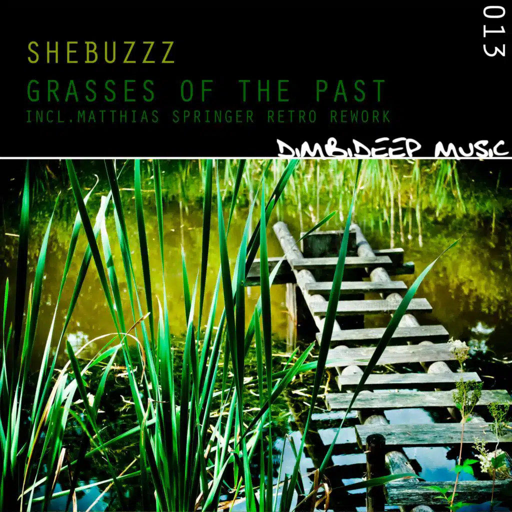 Silver Moon (Matthias Springers Retro Rework)