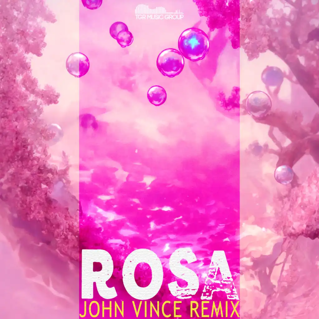 ROSA (JOHN VINCE REMIX)