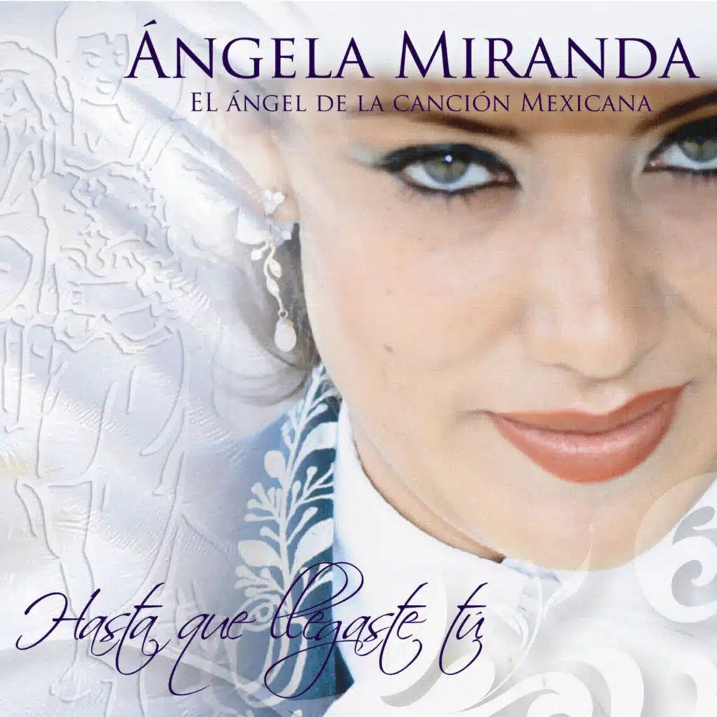 Hasta Que Llegaste Tú